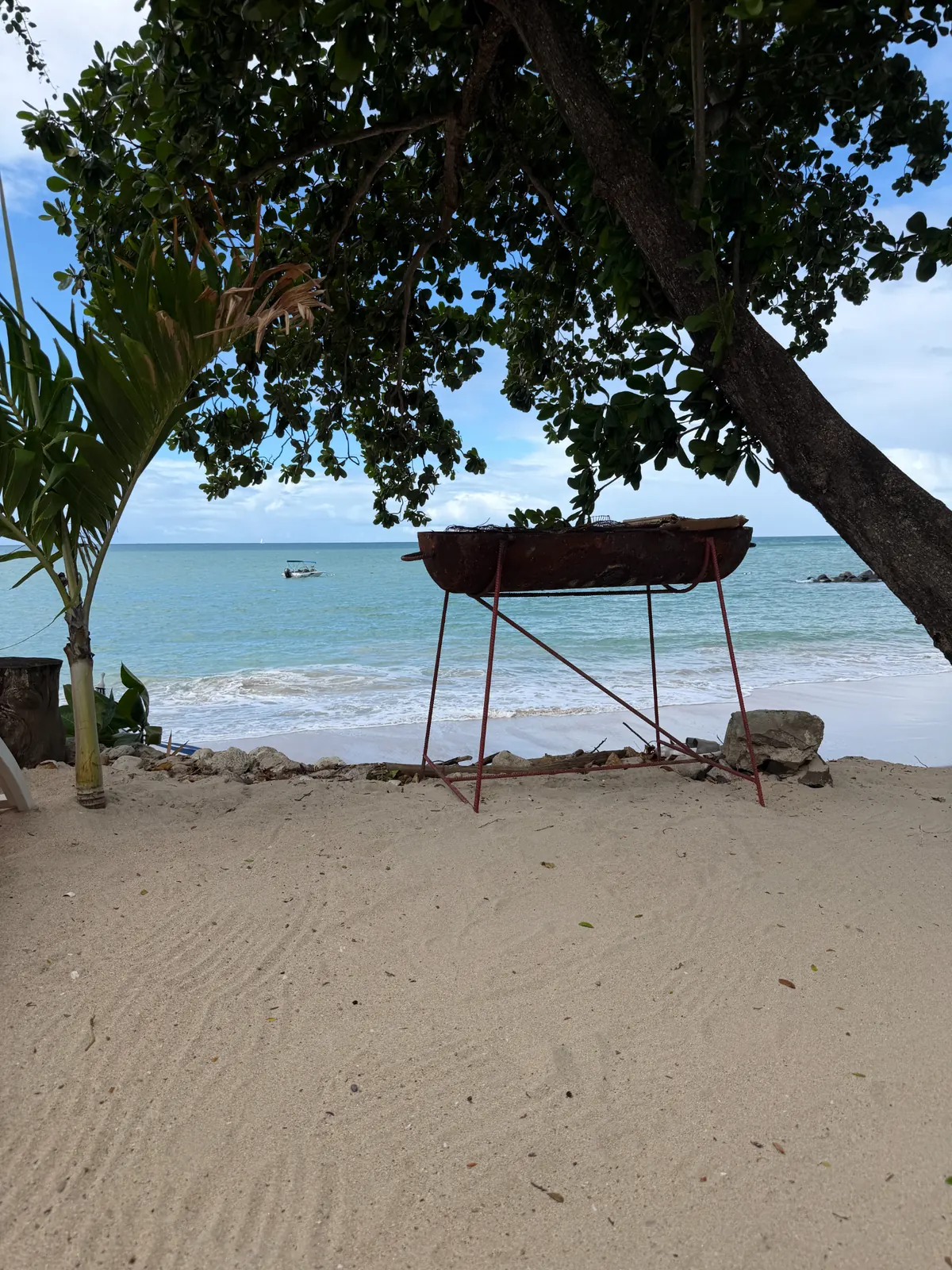 Caribbean cruise destination beach with tropical shoreline and calm sea