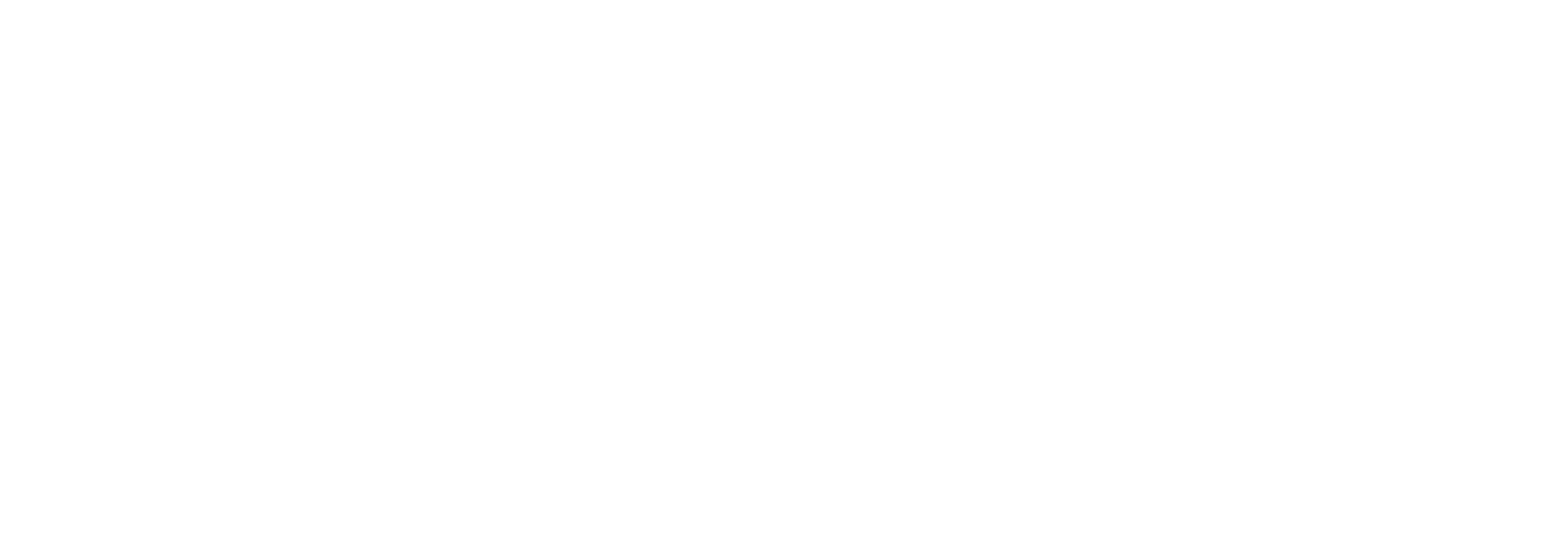 Virgin Voyages adults-only cruise line logo