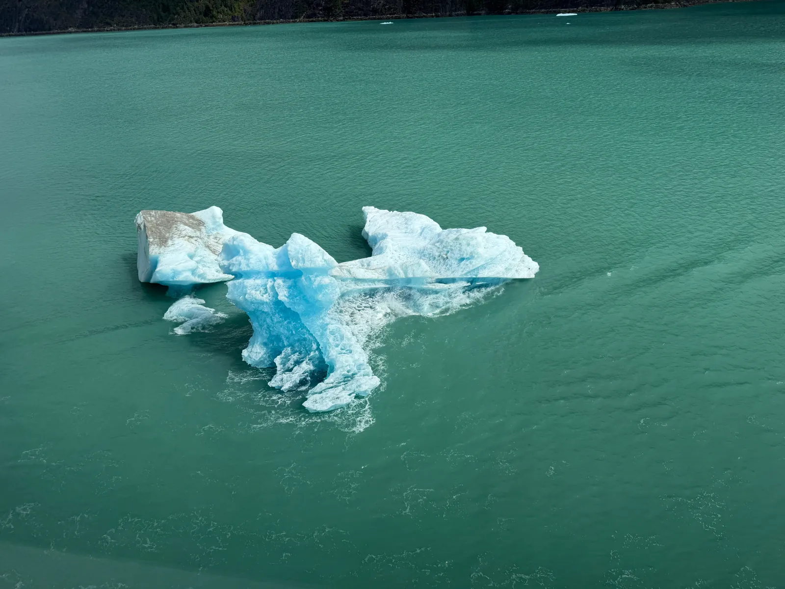 Floating iceberg near Endicott Arm during a Virgin Voyages Alaska cruise